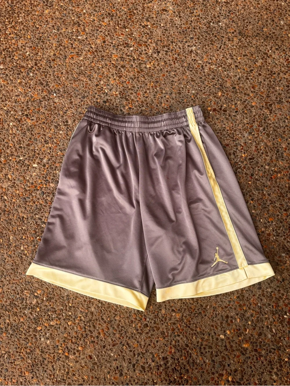 Jordan Men’s Purple Athletic Shorts with Gold Accents